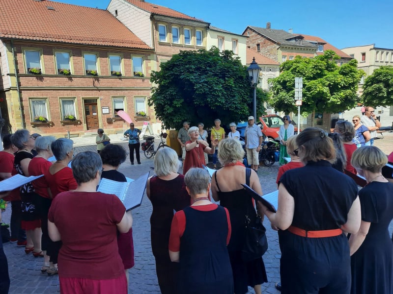 Dezibella vor dem Rathaus in Hammelburg