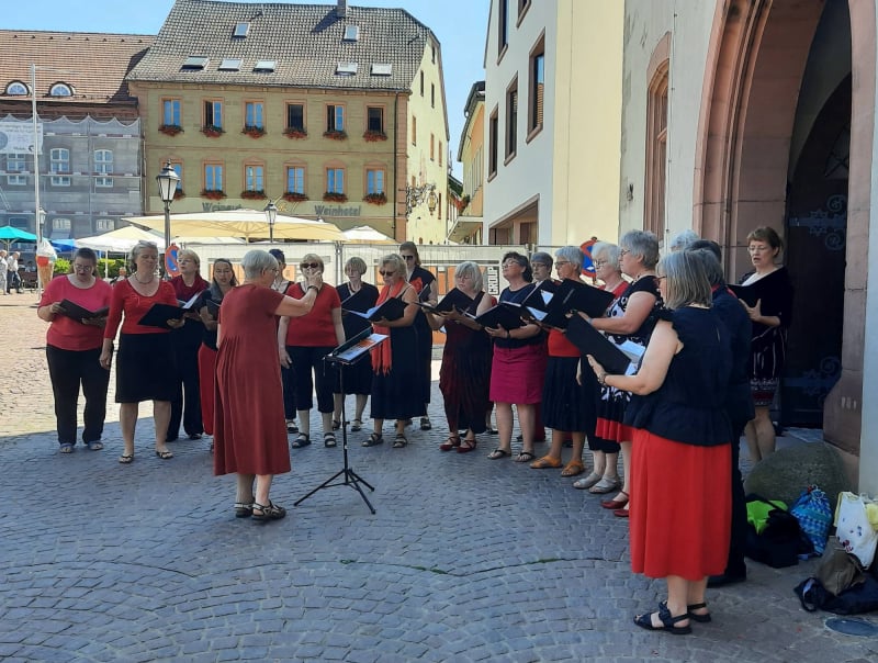 Dezibella vor dem Rathaus in Hammelburg